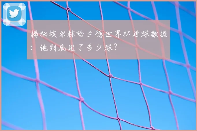 揭秘埃尔林哈兰德世界杯进球数据:他到底进了多少球?